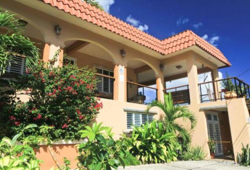 اتاق استاندارد, Villa Coral Guesthouse