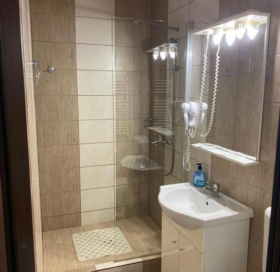 חדר סטנדרט לשלושה, Pensiunea Damiro