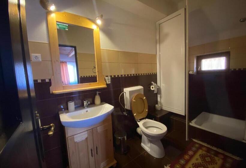 חדר סטנדרט, Pensiunea Marioara