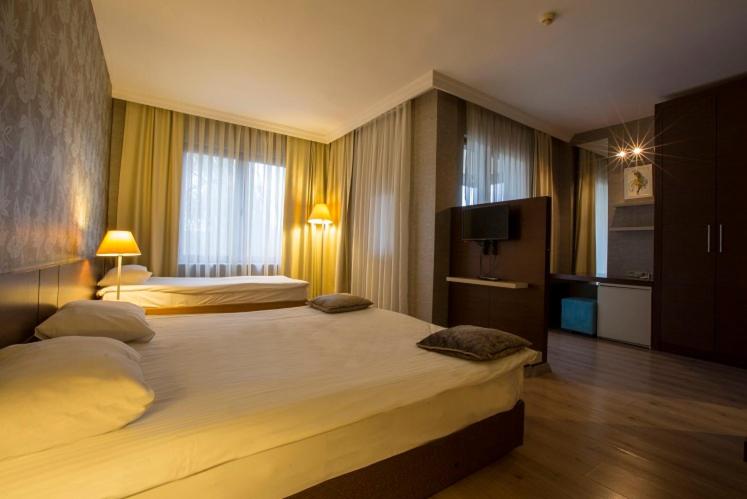 اتاق استاندارد سه نفره, Park Polonezkoy