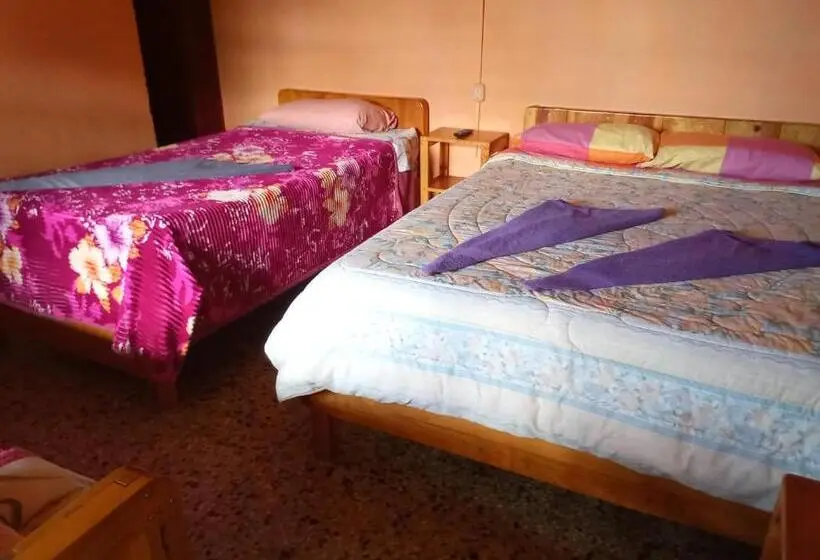 اتاق استاندارد چهار تخته, Hospedaje Santo Domingo