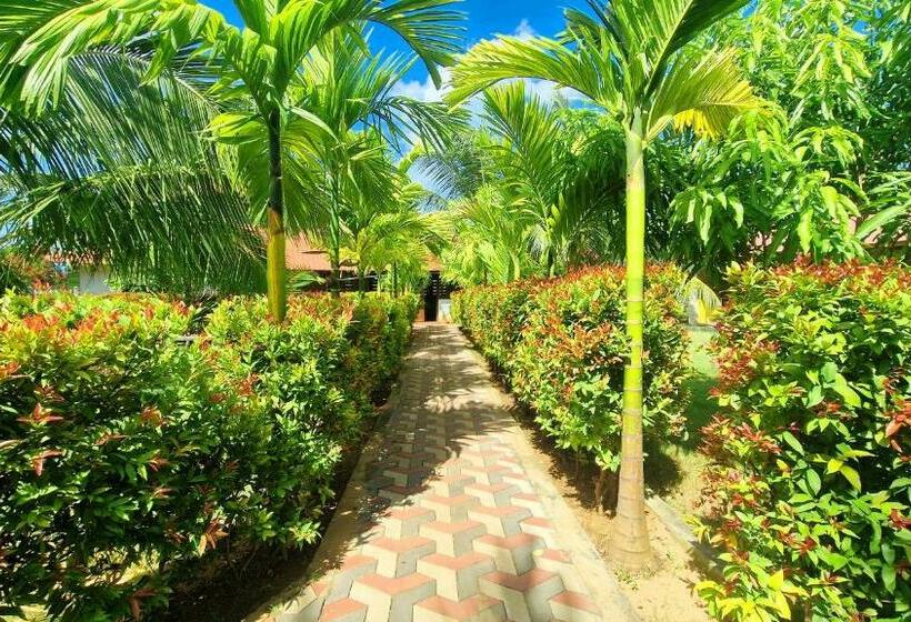 디럭스 패밀리 룸, Italian Guest