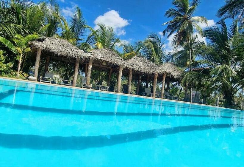 디럭스 패밀리 룸, Italian Guest