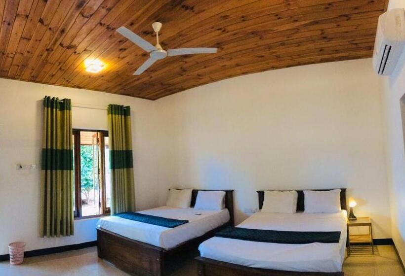 디럭스 패밀리 룸, Italian Guest