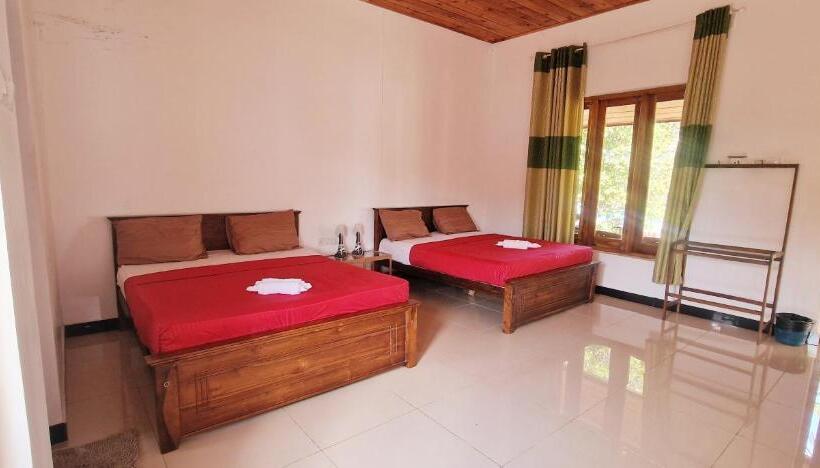 디럭스 패밀리 룸, Italian Guest