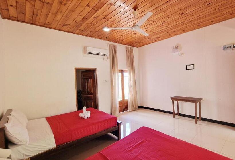 디럭스 패밀리 룸, Italian Guest