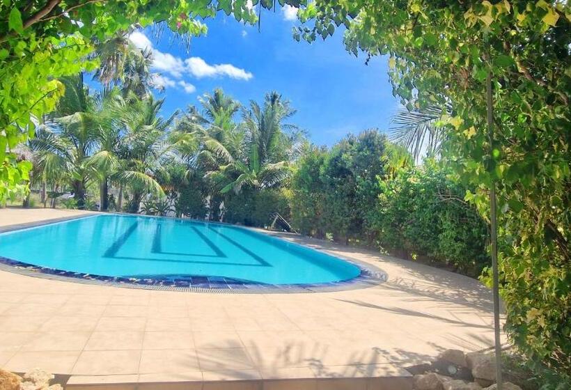 정원 전망 4인용 스탠다드 룸, Italian Guest