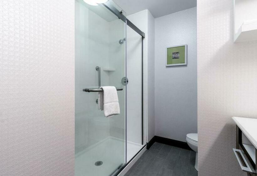 스탠다드 룸 킹사이즈 침대, Hampton Inn Locust Grove
