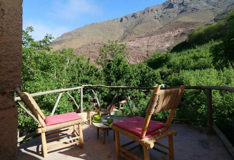 اتاق استاندارد سه نفره, Douar Samra