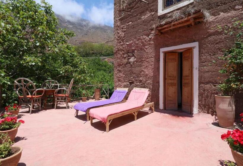 اتاق استاندارد سه نفره, Douar Samra