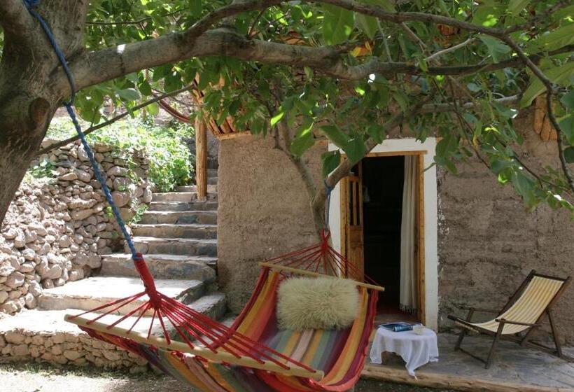 سوئیت جونیور با چشمانداز باغ, Douar Samra