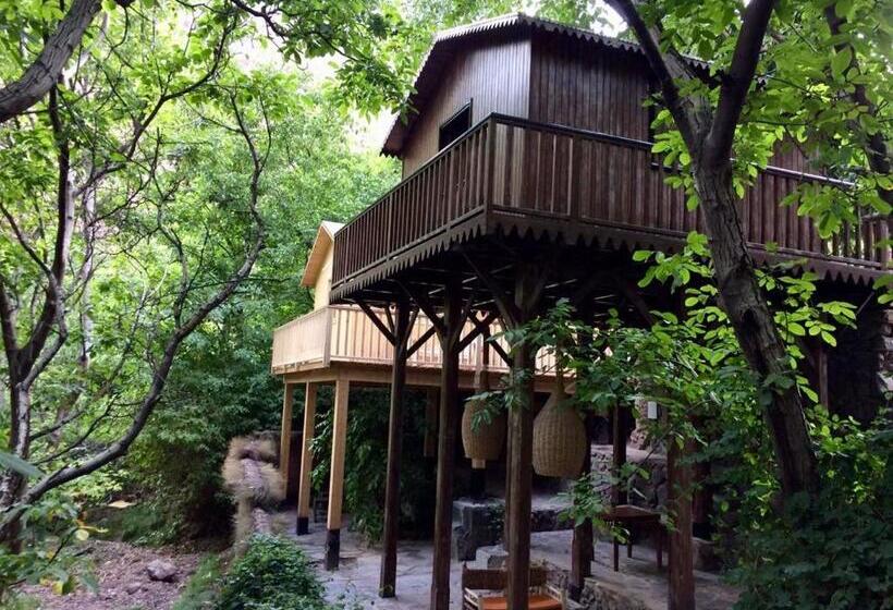 کلبه ییلاقی, Douar Samra