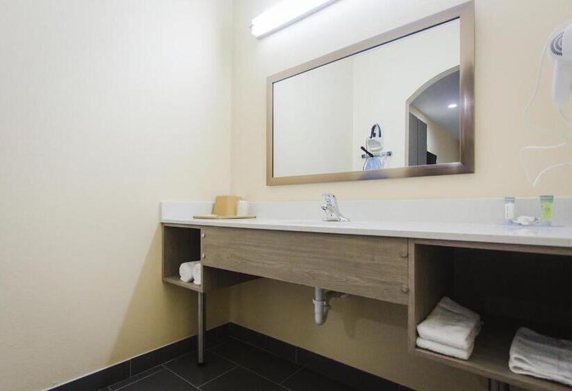 キングサイズベッドのスタンダードルーム, Palace Inn Katy Ft. Bend