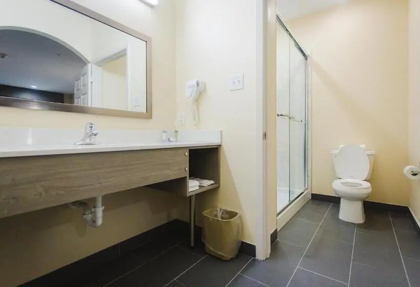 スタンダードルーム, Palace Inn Katy Ft. Bend