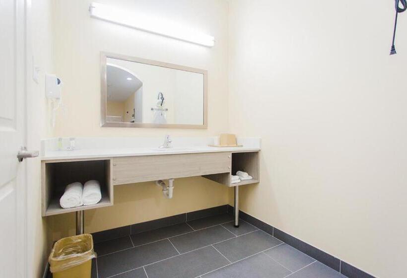 スタンダードルーム, Palace Inn Katy Ft. Bend