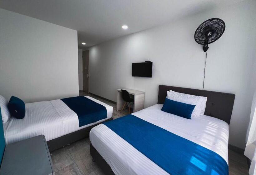 标准间, Rosales Gold