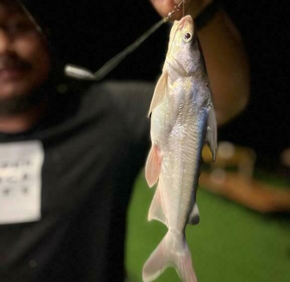 غرفة قياسية, Mama's Family Guesthouse