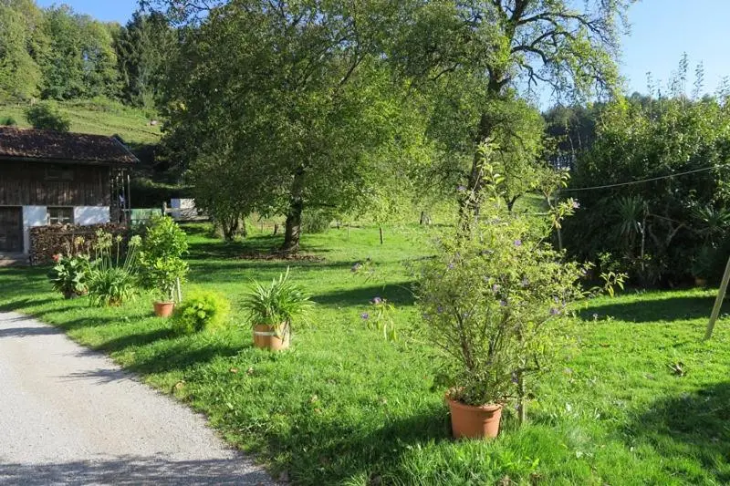 バルコニー付き１ベッドルームアパートメント, Ferienwohnung Leitner