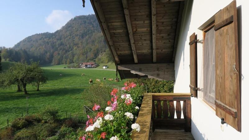 Апартаменты 1 Спальня с Балконом, Ferienwohnung Leitner