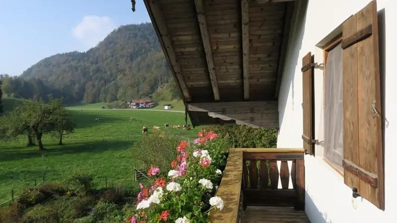 バルコニー付き１ベッドルームアパートメント, Ferienwohnung Leitner