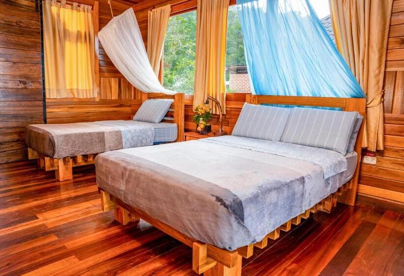 Номер Стандарт, Heimatlos Amazon Lodge