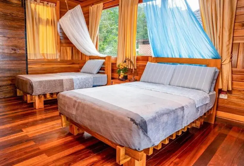 スタンダードルーム, Heimatlos Amazon Lodge