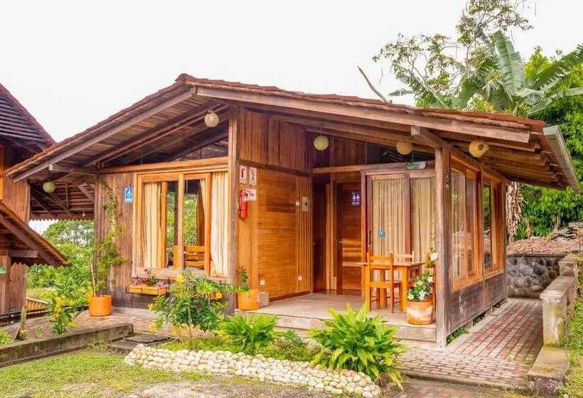 スタンダードトリプルルーム, Heimatlos Amazon Lodge