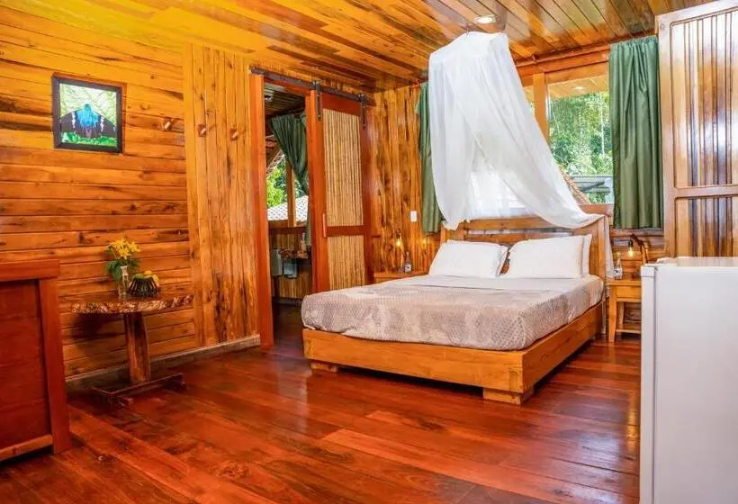 デラックスルーム, Heimatlos Amazon Lodge