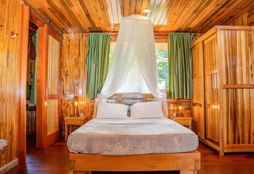 デラックスルーム, Heimatlos Amazon Lodge