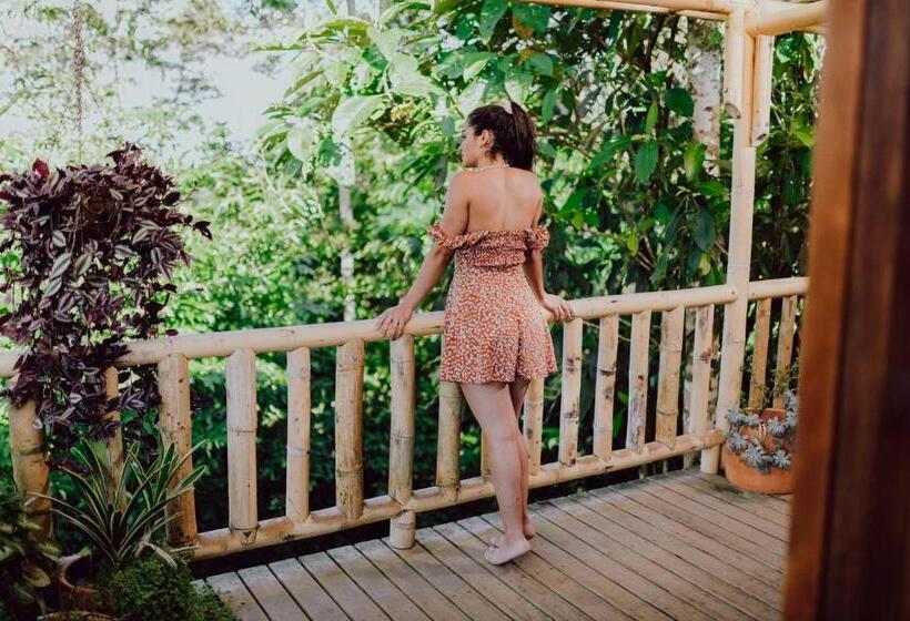 자쿠지 스위트, Heimatlos Amazon Lodge