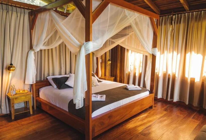 자쿠지 스위트, Heimatlos Amazon Lodge