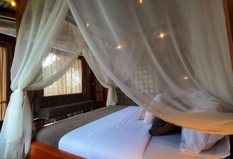 자쿠지 스위트, Heimatlos Amazon Lodge