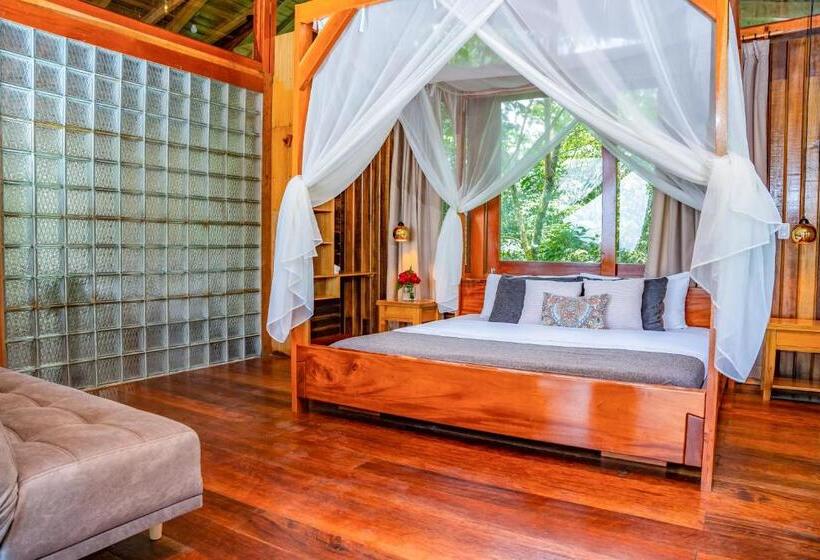 자쿠지 스위트, Heimatlos Amazon Lodge