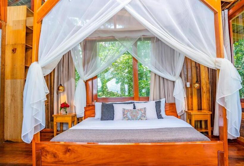 자쿠지 스위트, Heimatlos Amazon Lodge