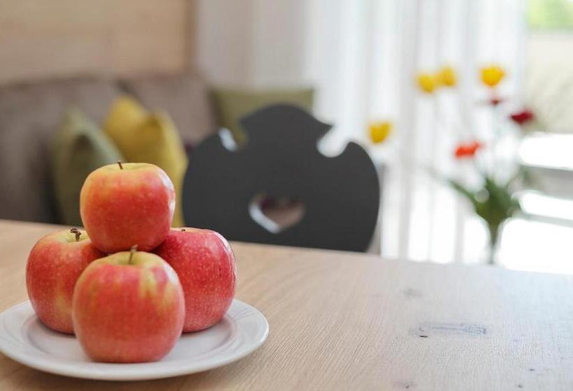 Номер Стандарт с Террасой, Appartement Hotel Anthea
