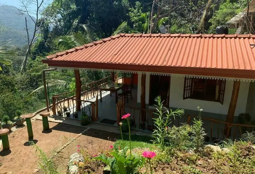 اتاق خانوادگی, Induwara Guest