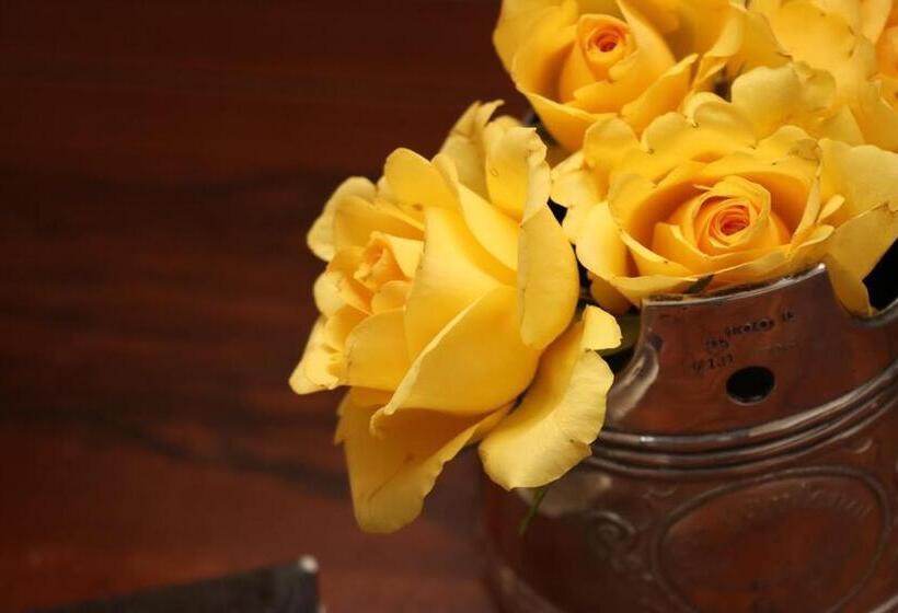 סוויטה נוף לגינה, La Maison Des Copains