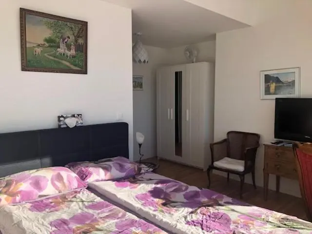 デラックスルーム, La Maison Des Copains