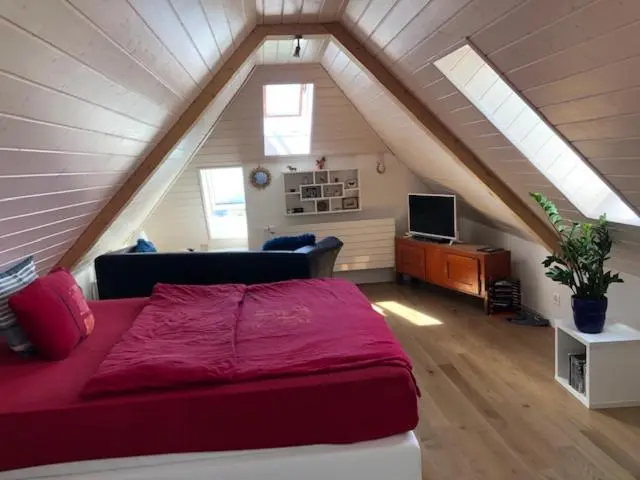 スタンダードスタジオ, La Maison Des Copains