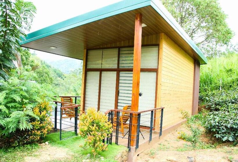 スーペリアースイート, Aloft Grand Hotel Ella