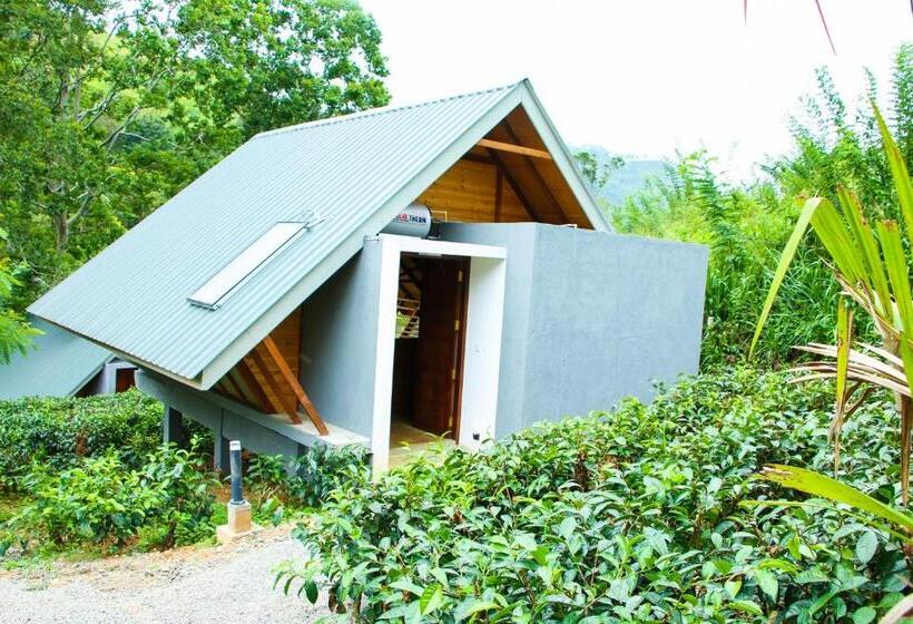 スイート（家族用）, Aloft Grand Hotel Ella