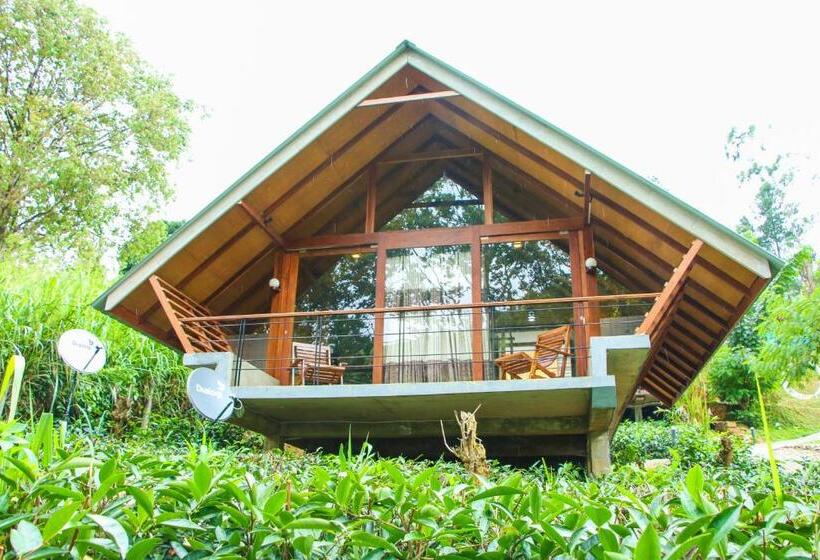 スイート（家族用）, Aloft Grand Hotel Ella