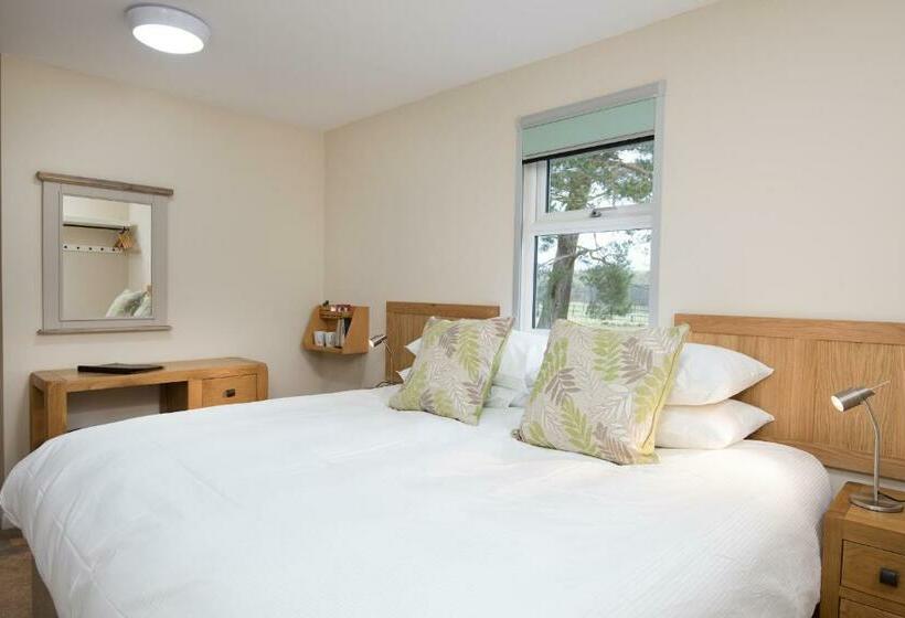 스탠다드 룸, Brown Rigg Guest Rooms