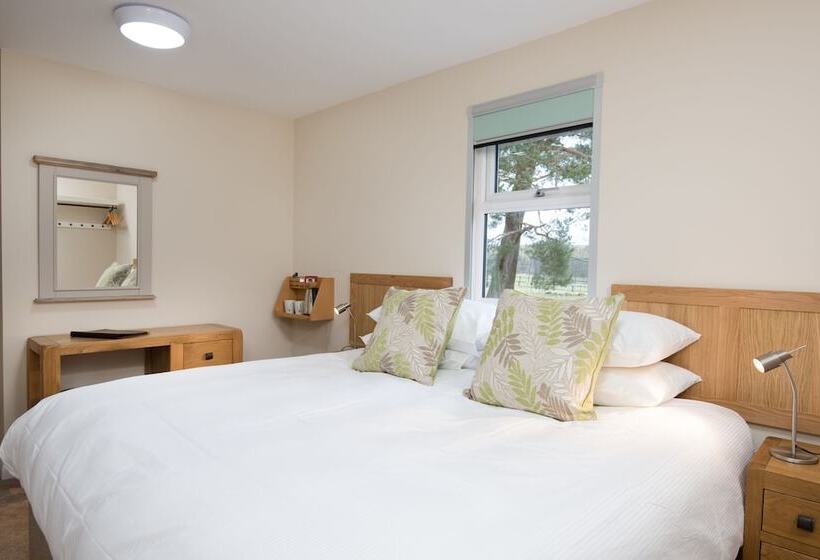 스탠다드 룸, Brown Rigg Guest Rooms