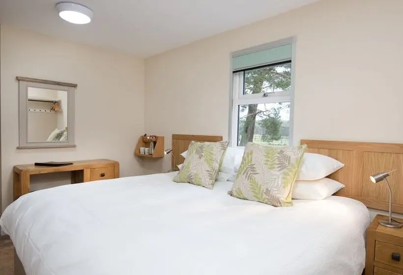 スタンダードルーム, Brown Rigg Guest Rooms