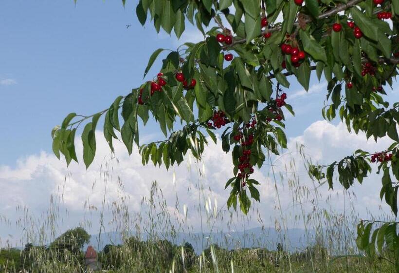 غرفة قياسية لذوى الاحتياجات الخاصة, La Ferme De Chaleyre