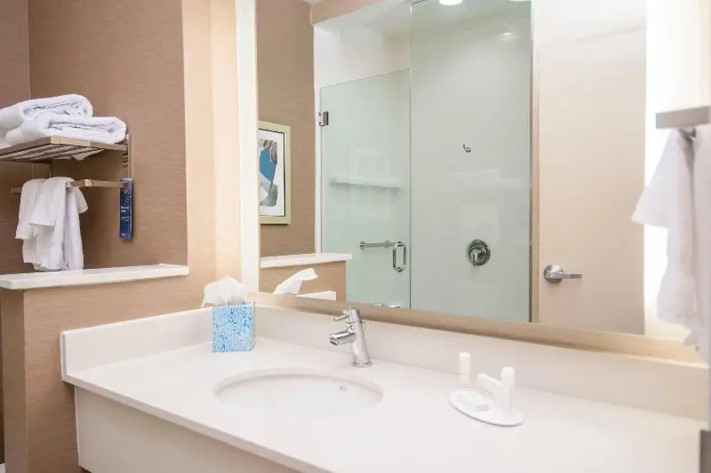 キングサイズベッドのスタンダードルーム, Fairfield Inn & Suites By Marriott Laplace