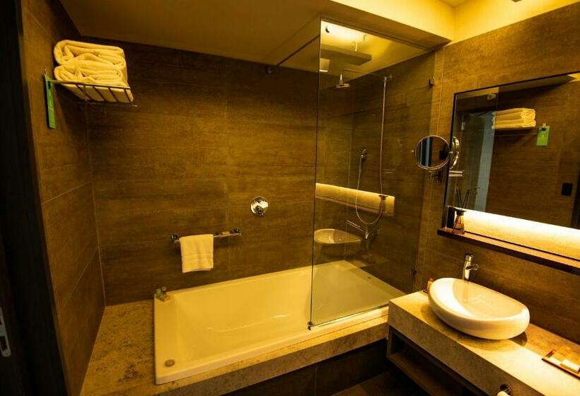 스탠다드 룸, Grand Brizo La Plata