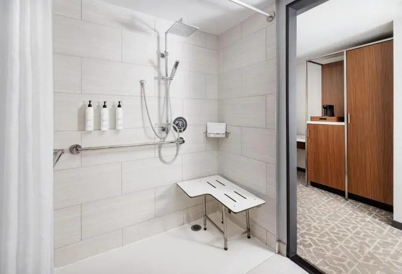 اتاق استاندارد با تخت بزرگ برای معلولان, Springhill Suites By Marriott New York Manhattan/times Square South