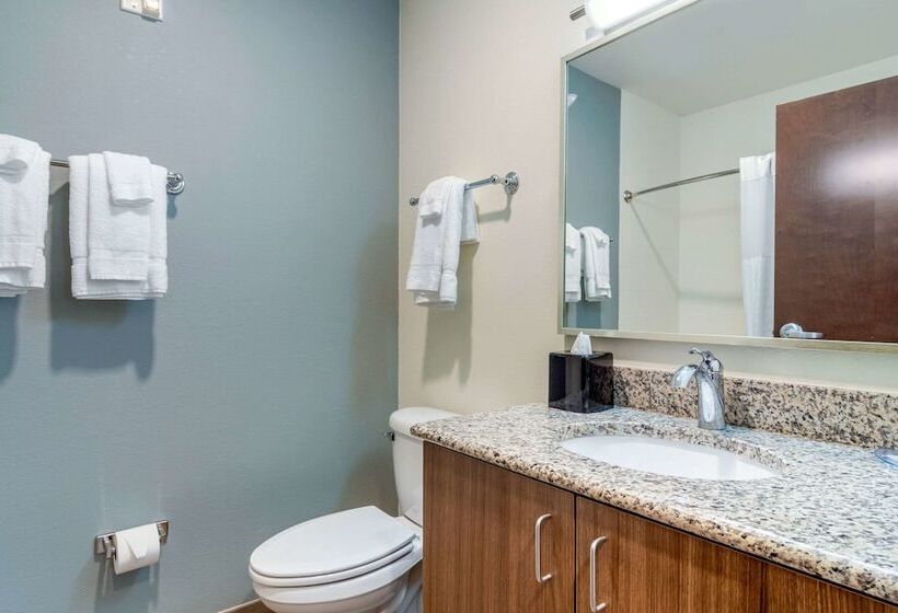 Люкс, Mainstay Suites Newnan Atlanta South